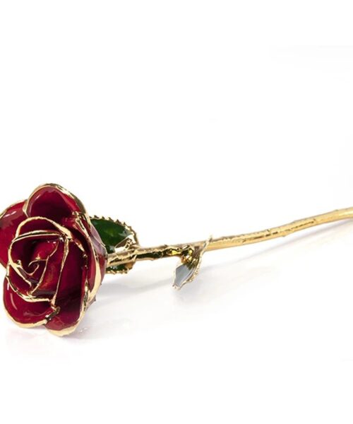 Gold-Dipped Natural Red Rose