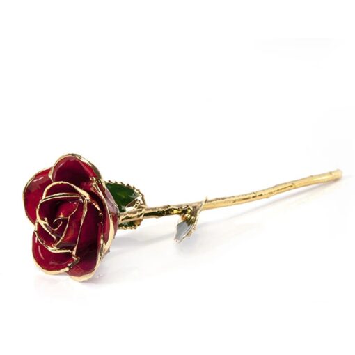 Gold-Dipped Natural Red Rose