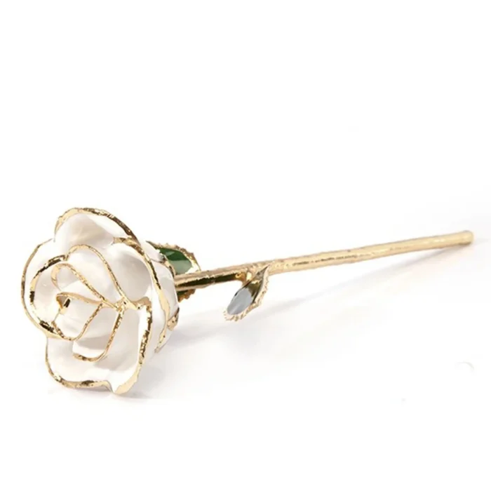 24k Gold white rose