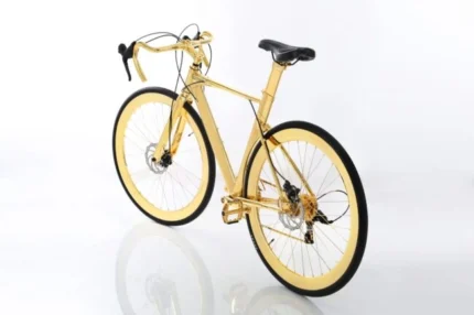 • Leronza luxury Exclusive 24K Gold Racking Bike