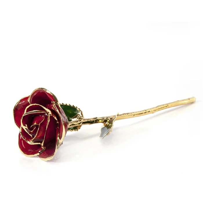 24K gold red rose