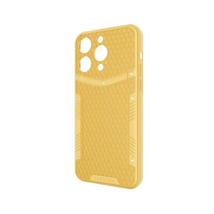 24k Gold iPhone 15 16 Designer Phone case